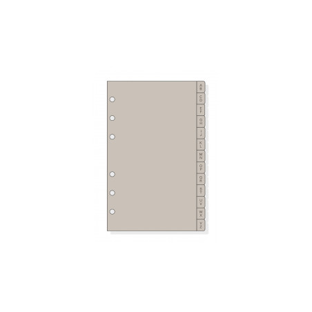 REC. AG. OPEN  400 (091x152) INDEX PLASTIC (R464