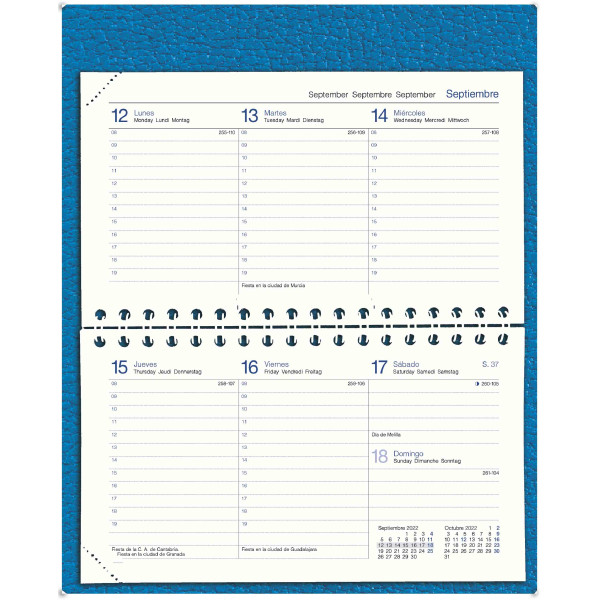 AG. MYRGA 09x16 PLANING S/VV AP. CORBE MYR3811 AG. MYRGA 09x16 PLANING S/VV AP. CORBE MYR3811