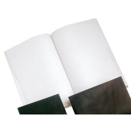 CUAD. ULE MR A-Z 8º C.5 100 F. PELL GOMA
