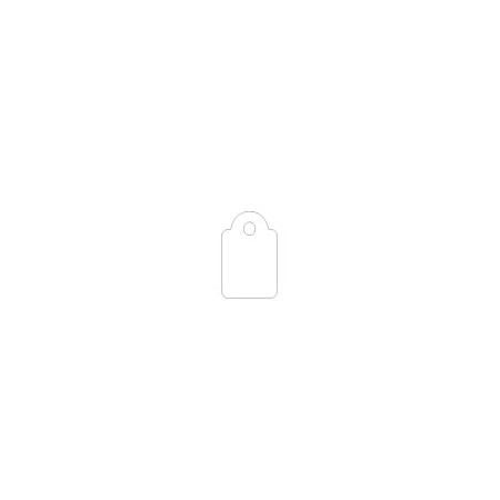 ETIQUETES PENJANTS 13x20 APL00387 (1000u)