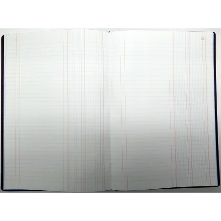 LLIBRE COMPTABILITAT DIARIO DOBLE (2 COL) FOLI (220x315 mm) 100f