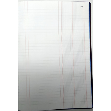 LLIBRE COMPTABILITAT DIARIO DOBLE (2 COL) FOLI (220x315 mm) 100f