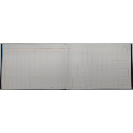 LLIBRE COMPTABILITAT Nº 40 CAJA CLASIFICADO (6 i 14COL)(300x210m