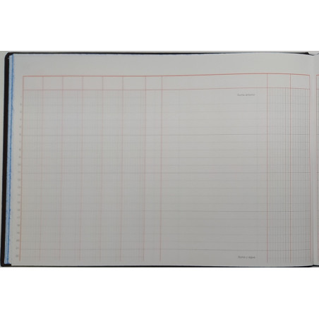 LLIBRE COMPTABILITAT Nº 40 CAJA CLASIFICADO (6 i 14COL)(300x210m