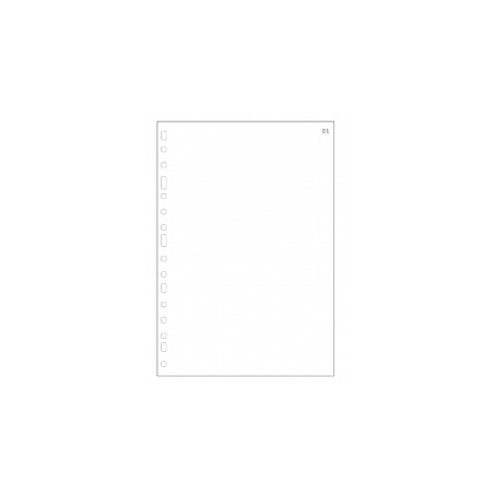 REC. FULLS LLIBRES MOVILS 100 FULLS (ACTES,SOCIS,ETC.) NUMERADES