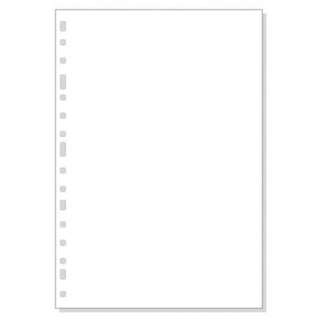 REC. FULLS 04T. DIN-A4 LLIS (100f)           (ABO)