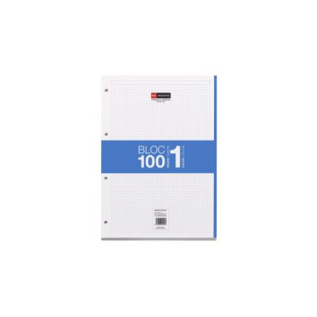 REC. FULLS 04T. NOTE BOOK OFIEXPERTS BLAU (80f) 80gr.