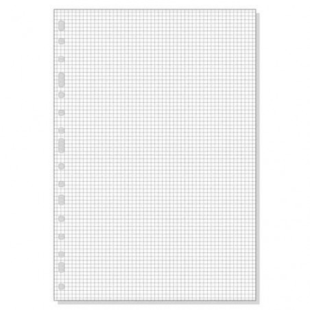 REC. FULLS 16T. MULTIFIN DIN A4 CUADRICULA (100f)