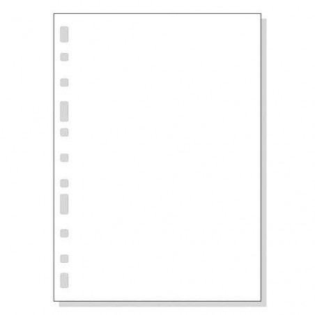 REC. FULLS 3005 LLIS BLANC (50u)