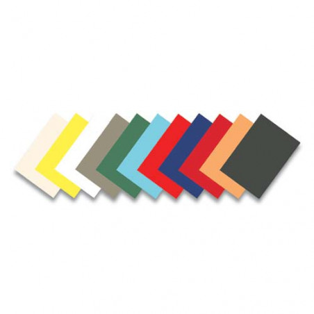 TAPA ENCUAD. A4 CARTRO 250 gr. DELTA GROC