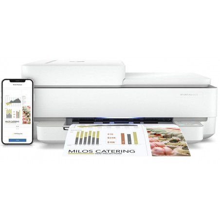 MULTIFUNCIO INK-JET COPIA / ESCANER / DUPLEX / WIFI (305XL)