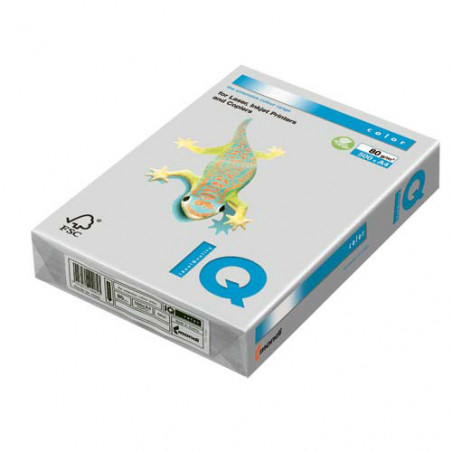 PAPER COLOR DIN-A4 GRIS (500u)