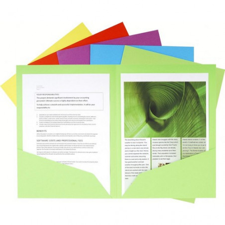 SUBCARPETA DOS BOSSES 240x320 ASSORTIT 220gr