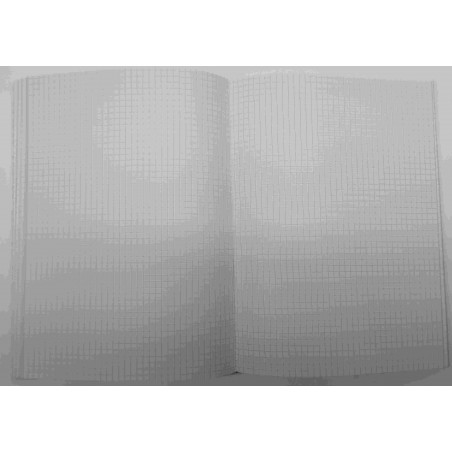 CARTONE COMPTABILITAT CUADRICULA 4mm 4º (150x205mm) 100f