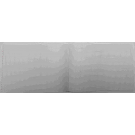 CARTONE COMPTABILITAT CUADRICULA 4mm 4º AP (210x150mm) 100f