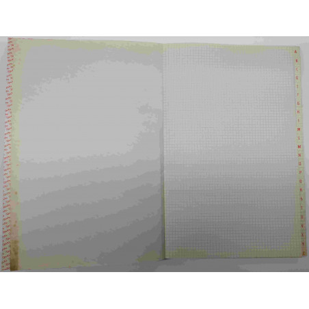 CARTONE COMPTABILITAT CUADRICULA 4mm AZ FOLI (210x305mm) 100f