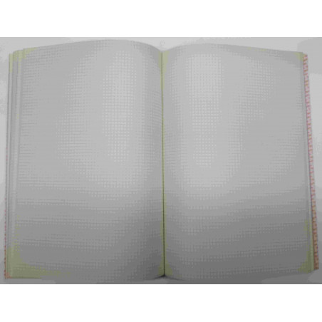 CARTONE COMPTABILITAT CUADRICULA 4mm FOLI (210x305mm) 100f