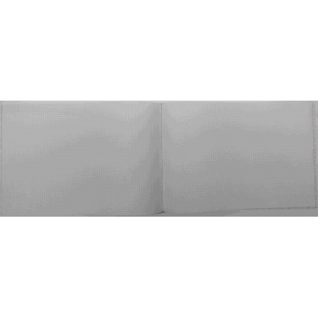CARTONE COMPTABILITAT CUADRICULA 4mm FOLI AP (300x205mm) 100f