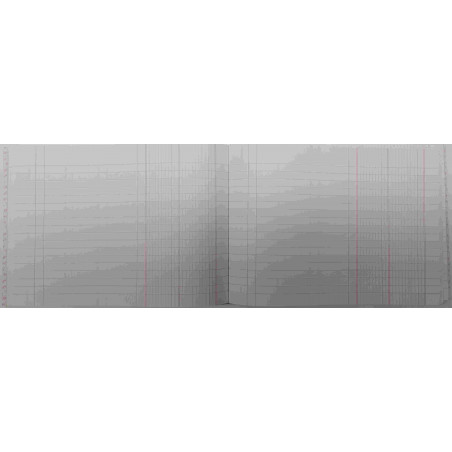 CARTONE COMPTABILITAT DIARIO DOBLE 4º AP (210x150mm) 100f