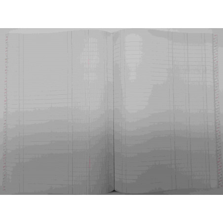 CARTONE COMPTABILITAT DIARIO DOBLE FOLI (210x305mm) 100f   (ABO)