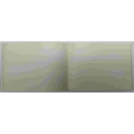 CARTONE COMPTABILITAT HORITZONTAL 4º AP (210x150mm) 100f   (ABO)