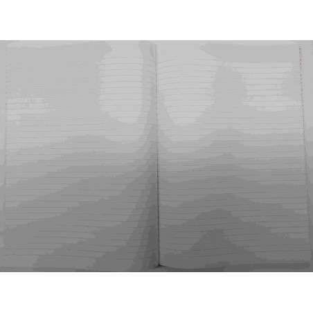 CARTONE COMPTABILITAT HORITZONTAL FOLI ( 210x305mm) 100f