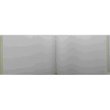 CARTONE COMPTABILITAT HORITZONTAL FOLI AP (300x205mm) 100f
