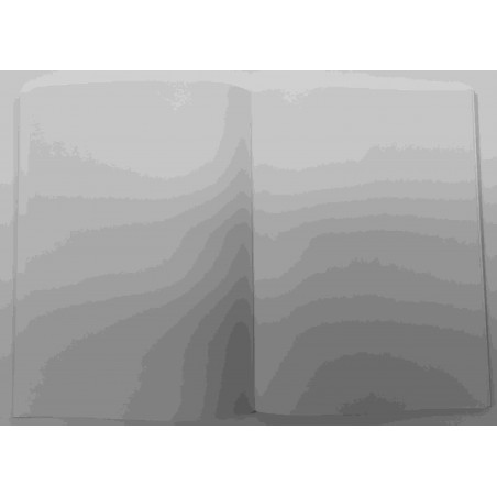 CARTONE COMPTABILITAT LLIS 4º (150x205mm) 100f