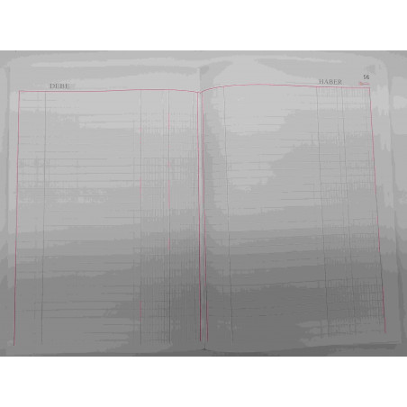 CARTONE COMPTABILITAT MAYOR DOBLE FOLI (210x305mm) 100f