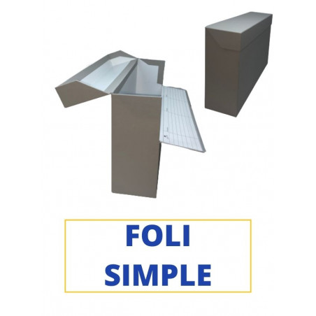 CAIXA TRANSFER FOLI (SIMPLE) 390x255x110 GRIS