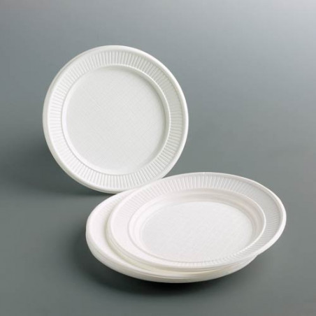 PLAT PLASTIC PLA 22 cms. (100u.)