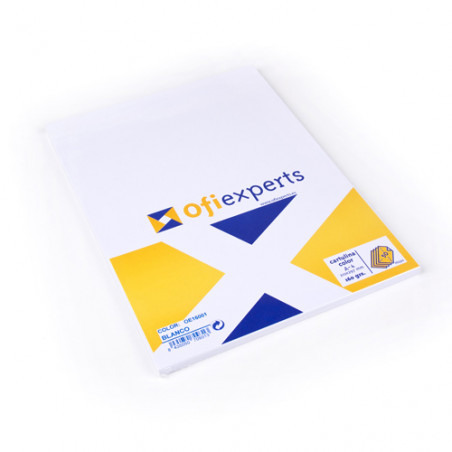 CARTOLINA DIN-A4 BLANCA  (25u)