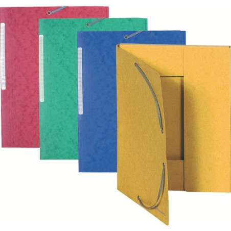CARP. GOMES SOLAP. A4 (240x320) CARTRO ASSORTIT