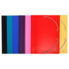 CARP. GOMES SOLAP. FOLI CARTRO SATINAT (25x34) ASSORTIT