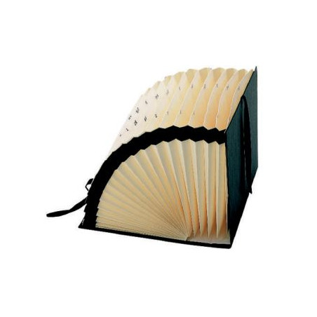 CARP. ACORDEON FOLI (360x245x110) TELA 1-31 (31 bosses) NEGRE