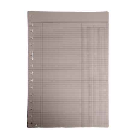 REC. FULLS 3005  2 COLUMNES (50u)                          (ABO)