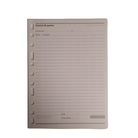 REC. FULLS 3002 CONTROL GASTOS (50u)                       (ABO)