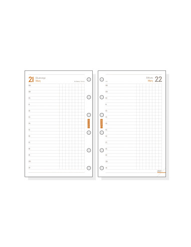 REC. AG. FINO 602 (073x114) ANY 1 D/P CAT (298C)
