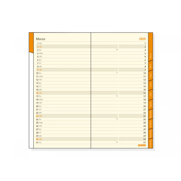 REC. AG. PLANA  4 (080x150) ANY M/V CAST
