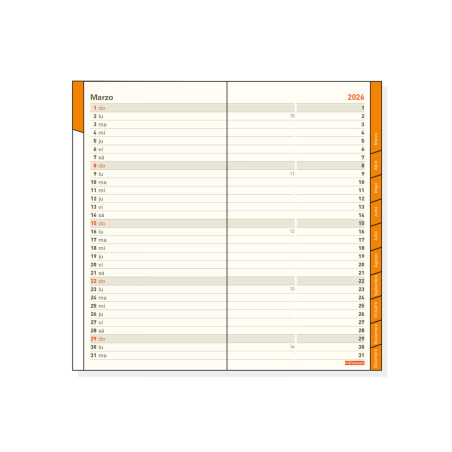 REC. AG. PLANA  4 (080x150) ANY M/V CAST