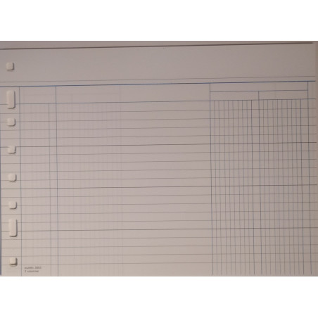 REC. FULLS 3003 2 COLUMNES (50u)                           (ABO)