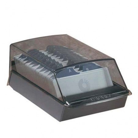 FITXER ROLODEX LINEAL TAPA 500 FITXES 057x102