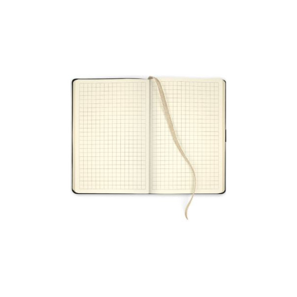DIARI (140x200) JEAJ A5 RATLLA FUM PLATA BRILLANT TAPA FLEXIBLE