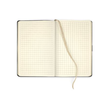 DIARI (140x200) JEAJ A5 RATLLA FUM PLATA BRILLANT TAPA FLEXIBLE