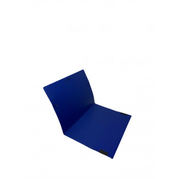 CARP. GOMES BOSSA FOLI CARTRO BARNIÇ BLAU (25x34)