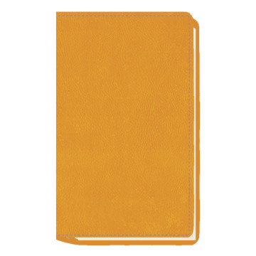 AG. MYRGA 09x16 PLANING S/VV AP. CORBE MYR3811