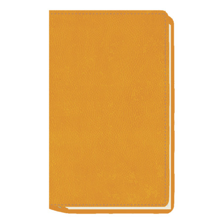AG. MYRGA 09x16 PLANING S/VV AP. CORBE MYR3811