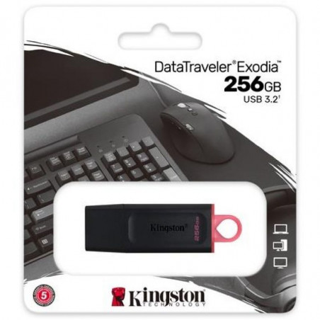 MEMORIA USB FLASH DRIVE 256GB 3.2