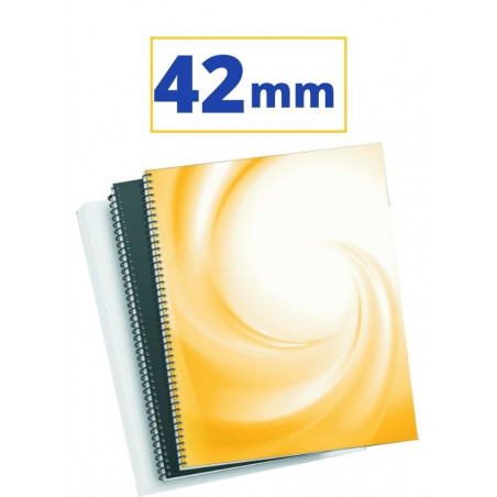 CANUTO ESPIRAL METALIC (5:1 42mm 390 FULLS) NEGRE