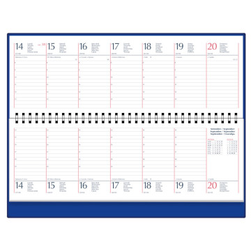AG. S/V ESP. 298x105 MUL TIPUS AGENDASCOPE OE012580 AÑO 2022